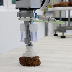 BIQ Business- und Innovationspark Quakenbrück Lebensmittelproduktion Roboter